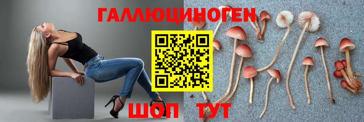 Псилоцибиновые грибы Magic Shrooms  Вход с VPN  Псилоцибиновые грибы Psilocybe  Азов 