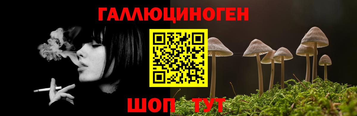Псилоцибиновые грибы GOLDEN TEACHER Азов